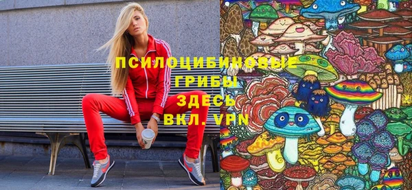 а пвп мука Ельня