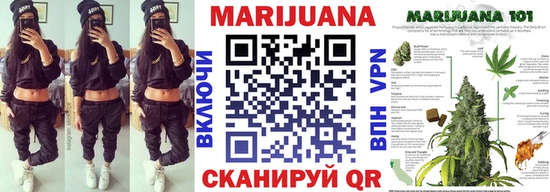 Конопля Amnesia  Купить где  Кола 